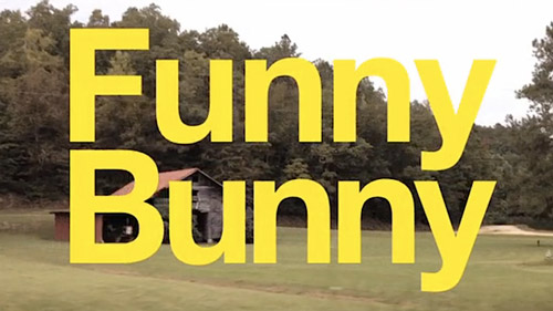 Funny-Bunny-Alison-Bagnall